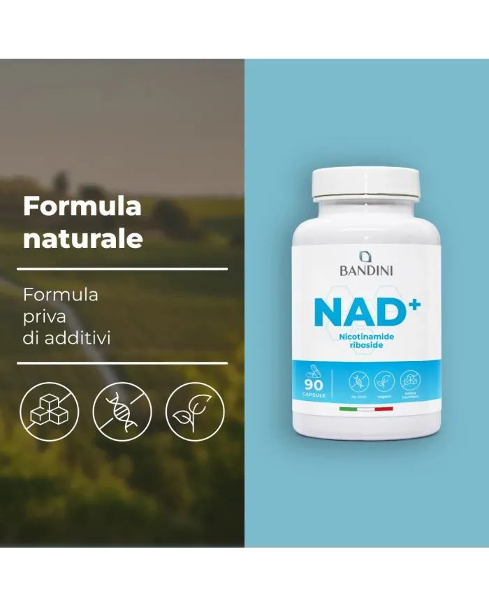 NAD+ Nicotinamide riboside cloruro 300mg - 90 capsule